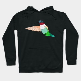 Hummingbird Hoodie